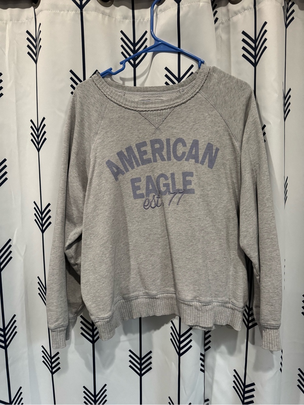 American Eagle Outfitters Gray Crewneck Sweater with Purple Lettering